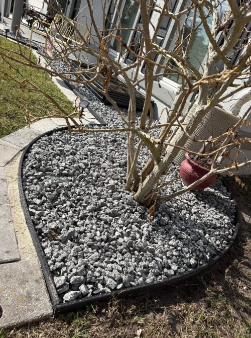 635135235_1318771713603676_2876373725911432177_n